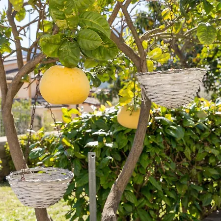 Apartamento Le Lantane 2